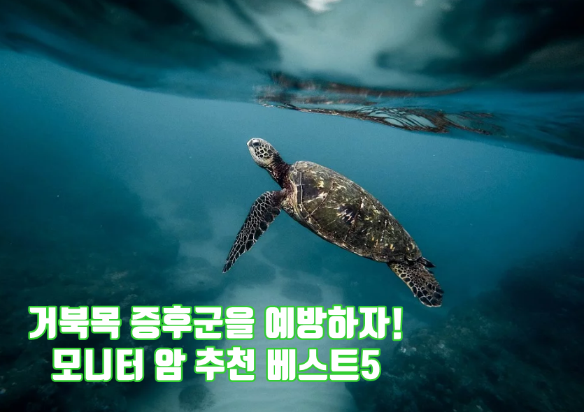 거북목 예방 모니터암