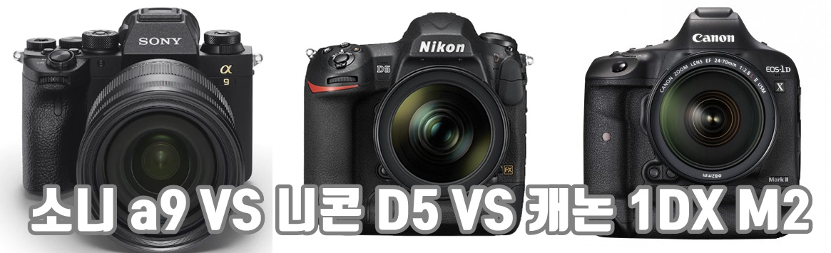 소니a9m2 니콘d5 캐논1dxm2