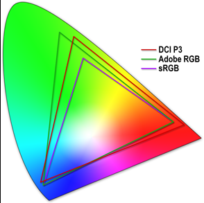 DCI-P3 색역 표현