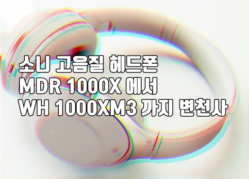 소니 MDR 1000X